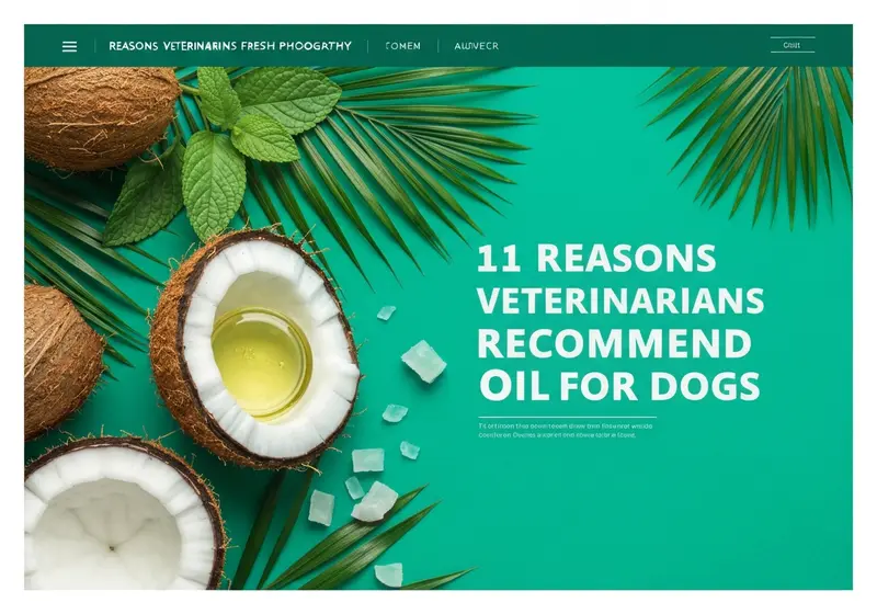 11 reasons veterinarians recommend coconut oil for dogs