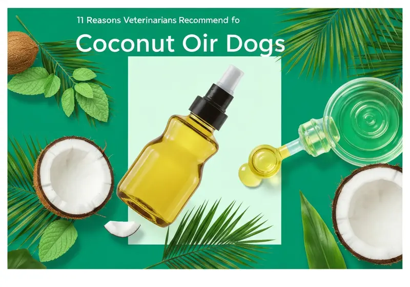 11 reasons veterinarians recommend coconut oil for dogs