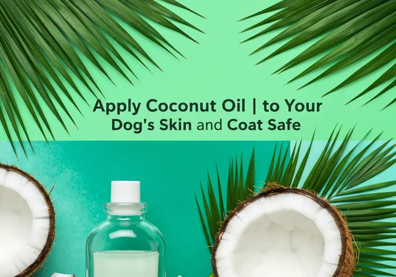 how to apply coconut oil to your dogs skin and coat safely
