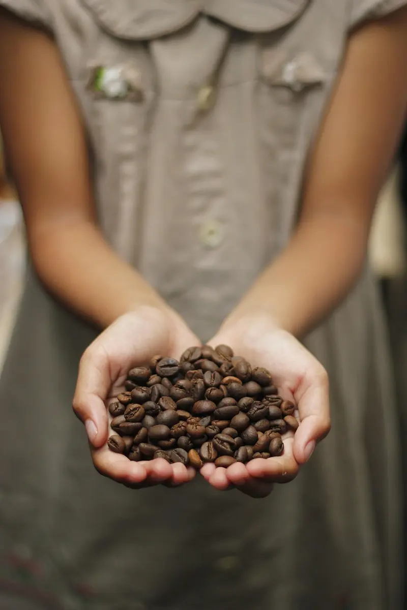 how to make bulletproof coffee with coconut oil better than